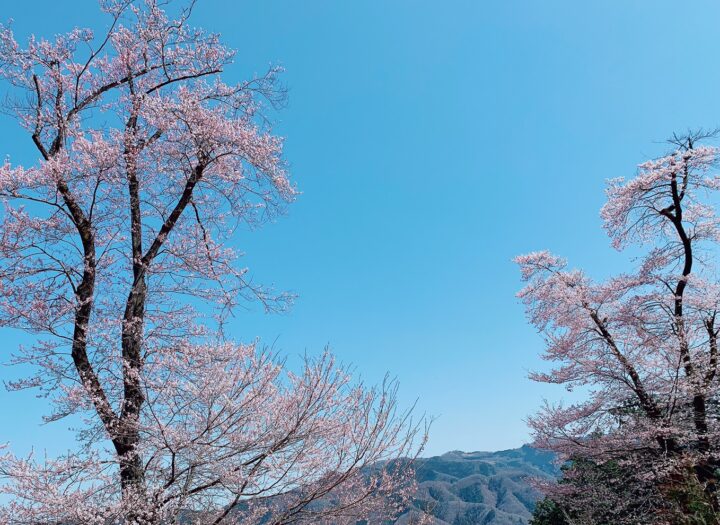 マジカルトレウォークで疲れ知らずの毎日を手に入れた！